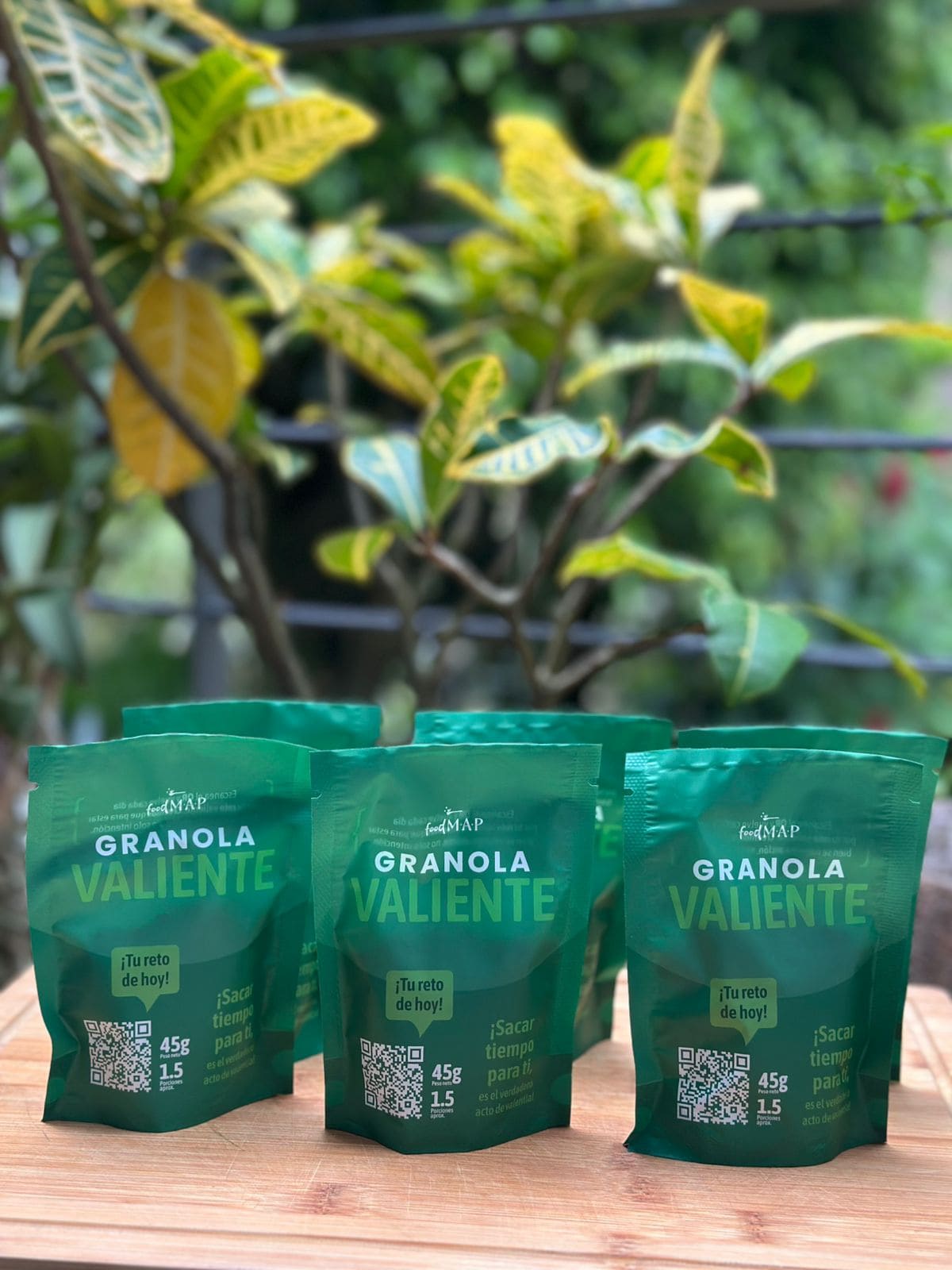 Granola Valiente Adultos
