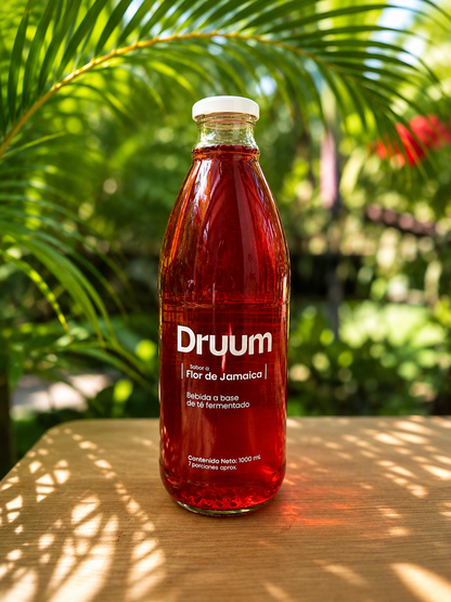 Druum -Té fermentado tipo Kombucha