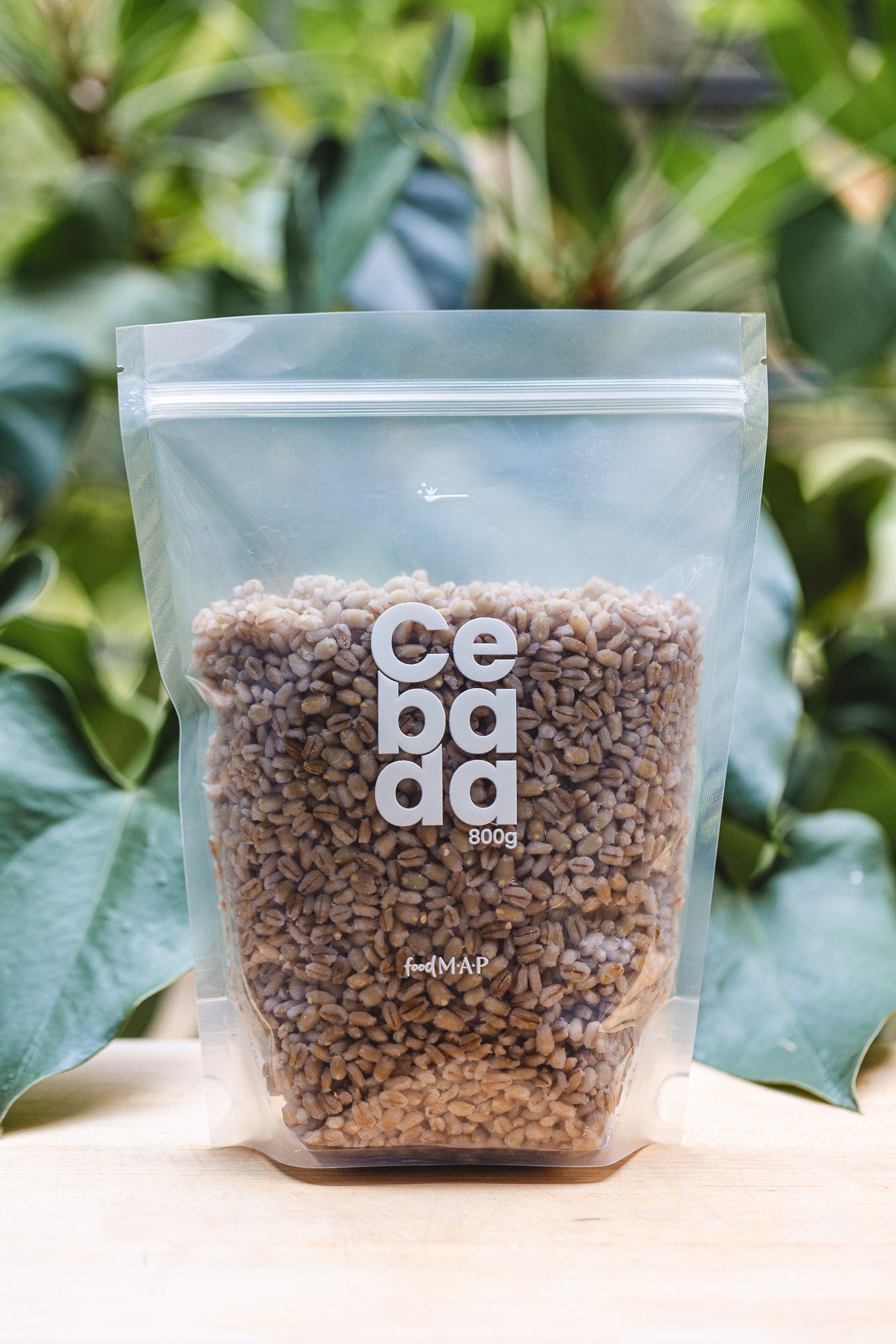 Cebada