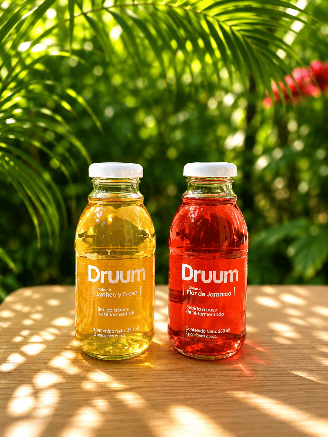 Druum -Té fermentado tipo Kombucha