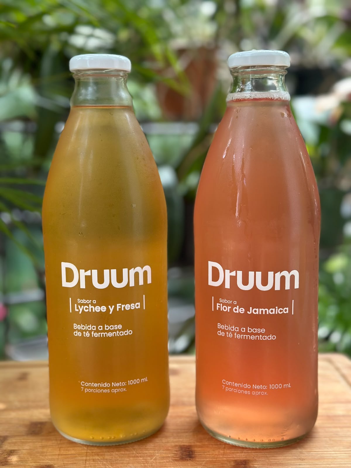 Druum -Té fermentado tipo Kombucha